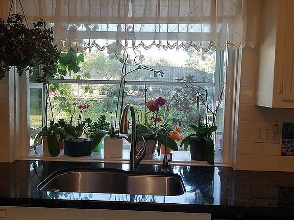 Marble counter garden window