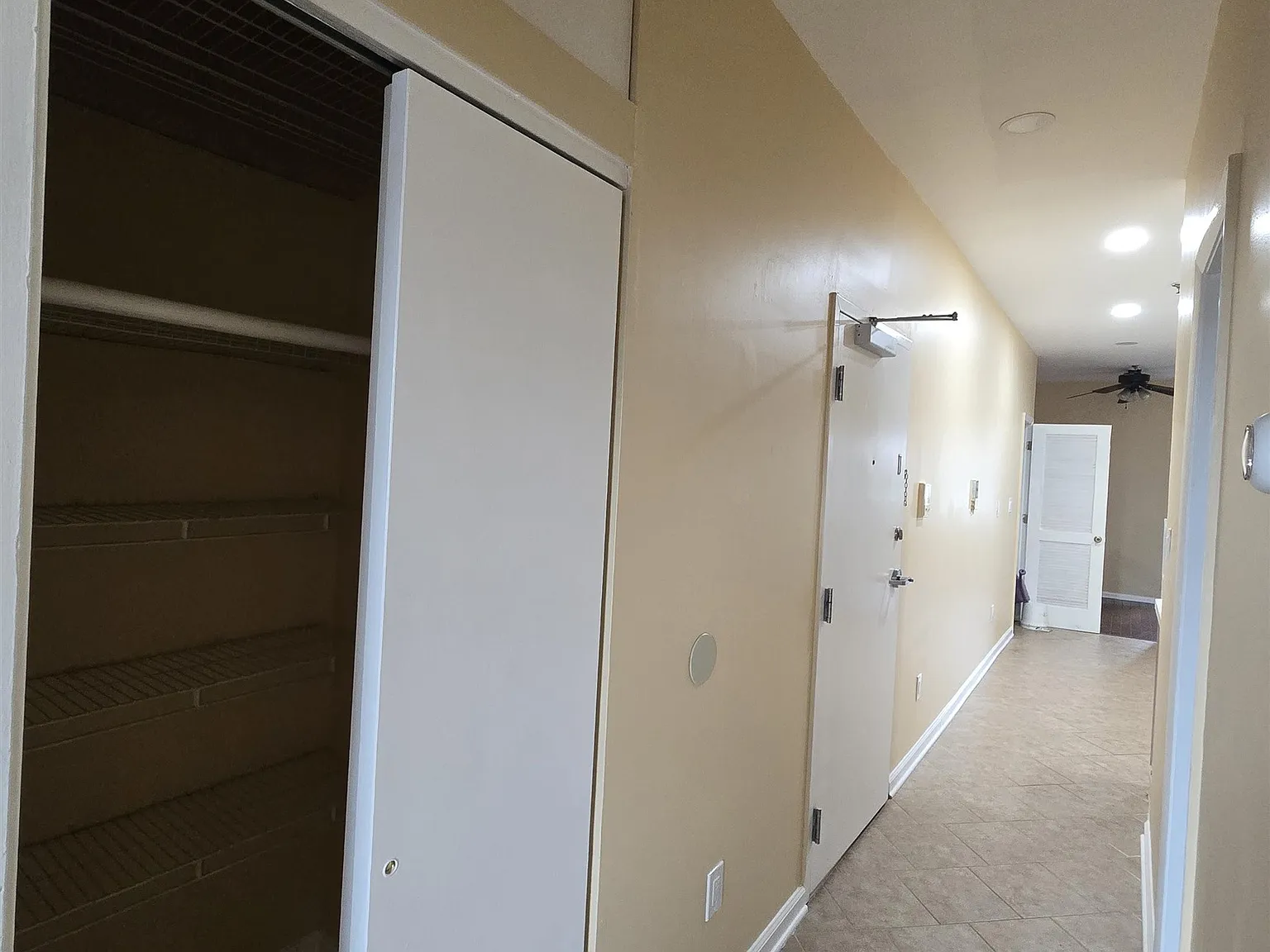 2 bed, 1.0 bath, $3,100 — Photo 3