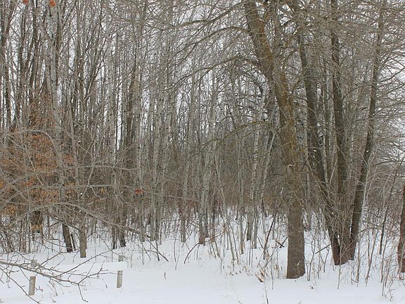 5th image of 2180 County Road 14 NE