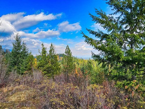 Nna Otter Ln, Naples, ID 83847
