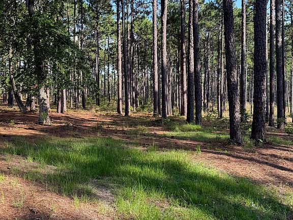 3rd image of 481 N Fort Bragg Road