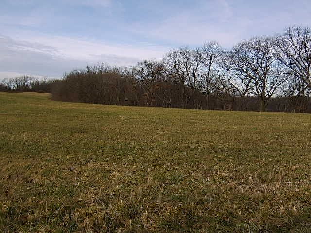 2nd image of LOT 1 Turkey Rd
