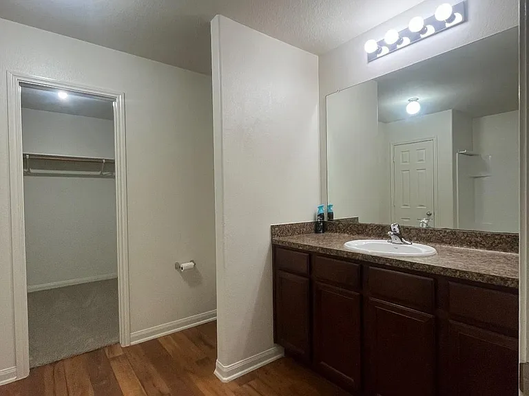 317 Falling Pine Dr — Photo 11