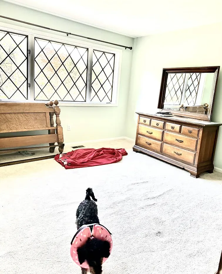 8 bed, 169 sqft, $1,600 — Photo 4