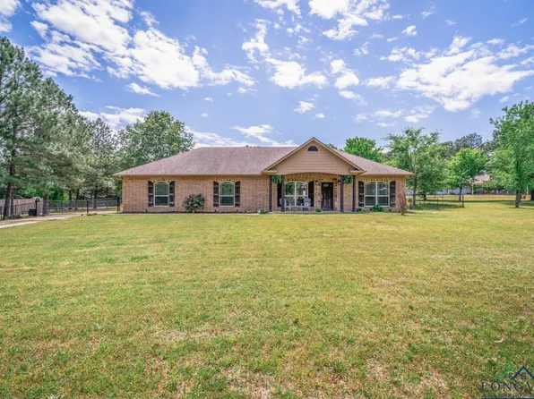 13584 State Highway 154 E, Diana, TX 75640