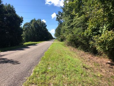 Robinson Rd, Eclectic, AL, 36024