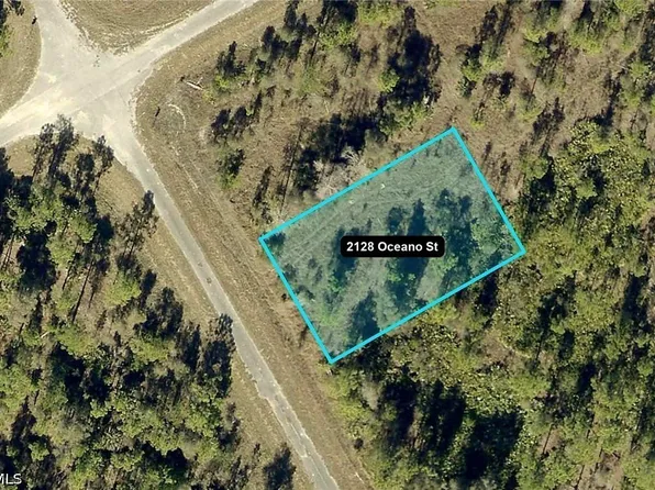 2128 Oceano St, Lehigh Acres, FL 33972