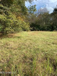 LOT 23 Sweetgum St, Pearl, MS, 39208