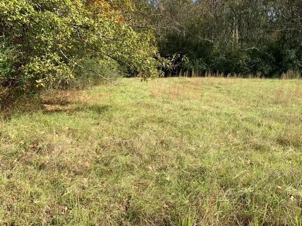 LOT 23 Sweetgum St Lot 23, Pearl, MS 39208