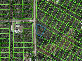 1075 Breckinridge Ave, Lake Placid, FL 33852