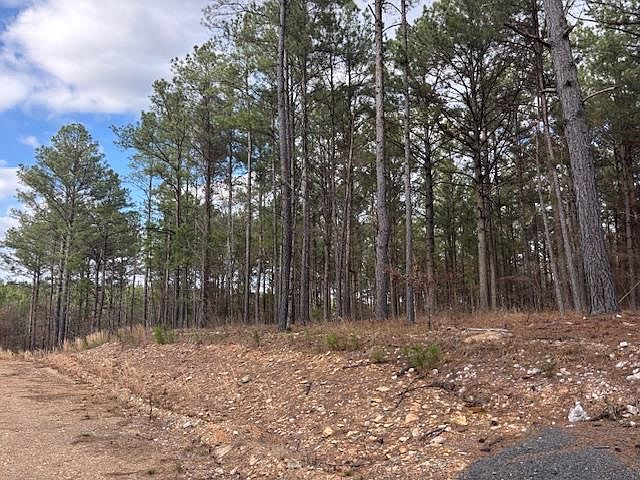 2nd image of 106 Turkey Roost Trl Lot 86