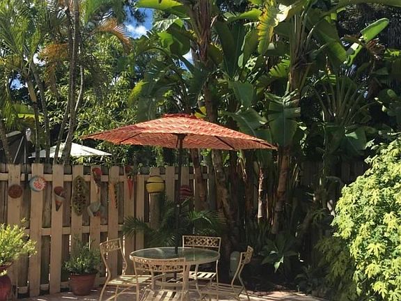 Tropical Backyard