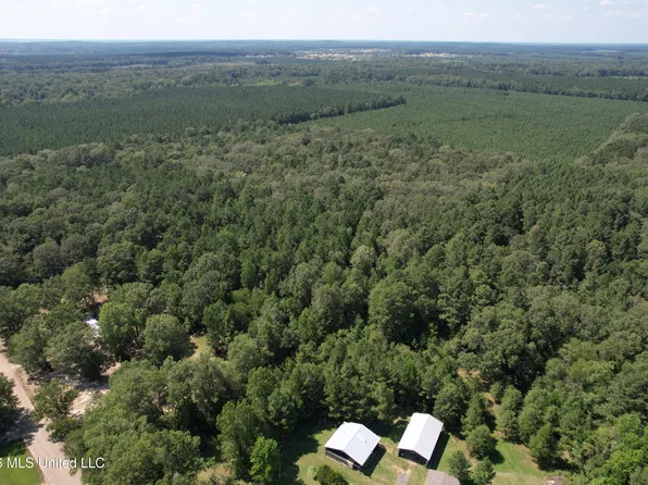 Holly Bush, Pelahatchie, MS 39145