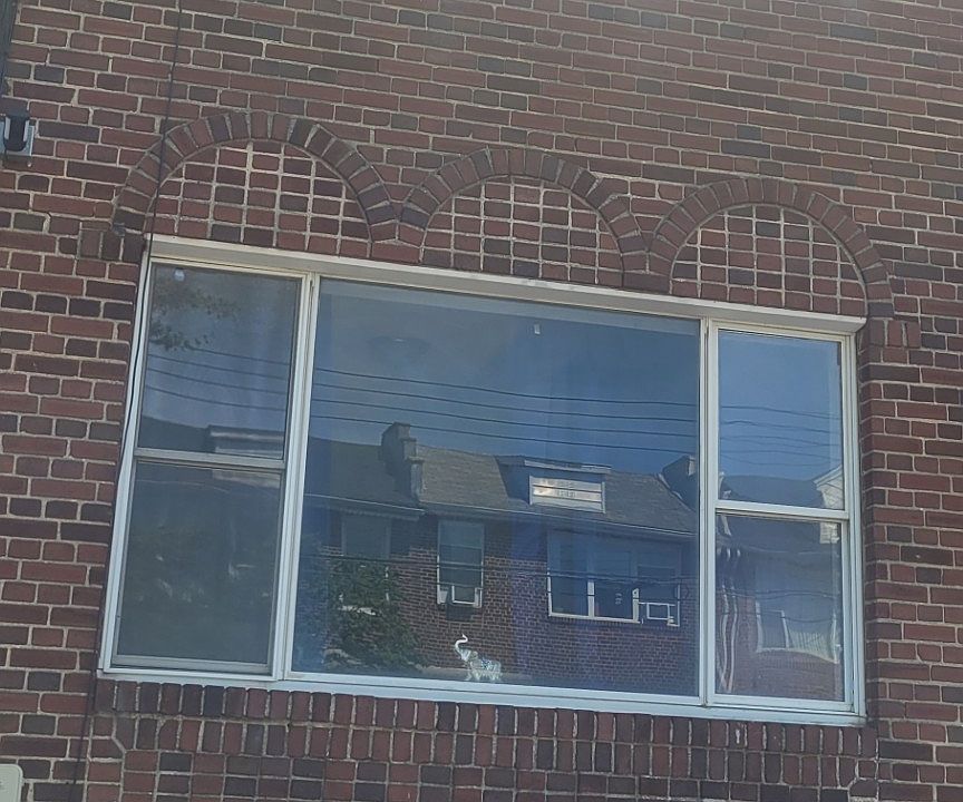 1st image of 1164 72nd St #2D