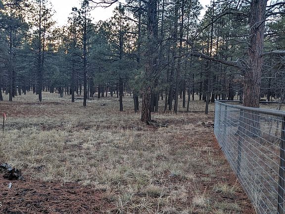 3rd image of 0 S Golden Meadows Trl