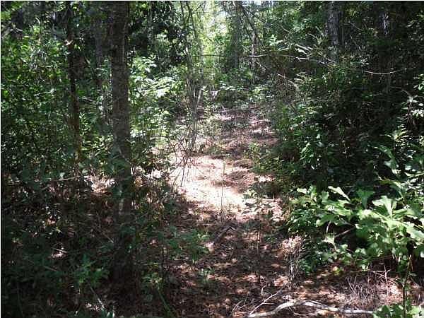 2nd image of 503 Circle Dr
