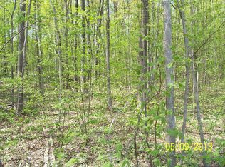 Brudy Rd, Indian River, MI 49749