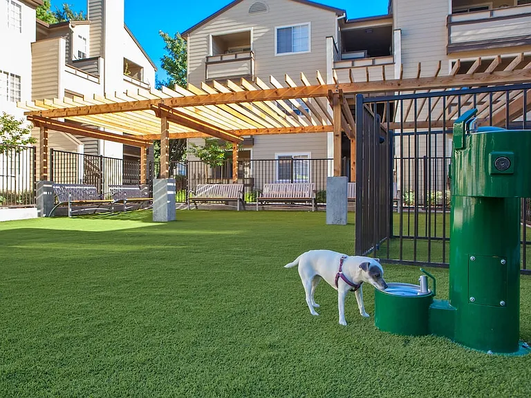 WAG dog park