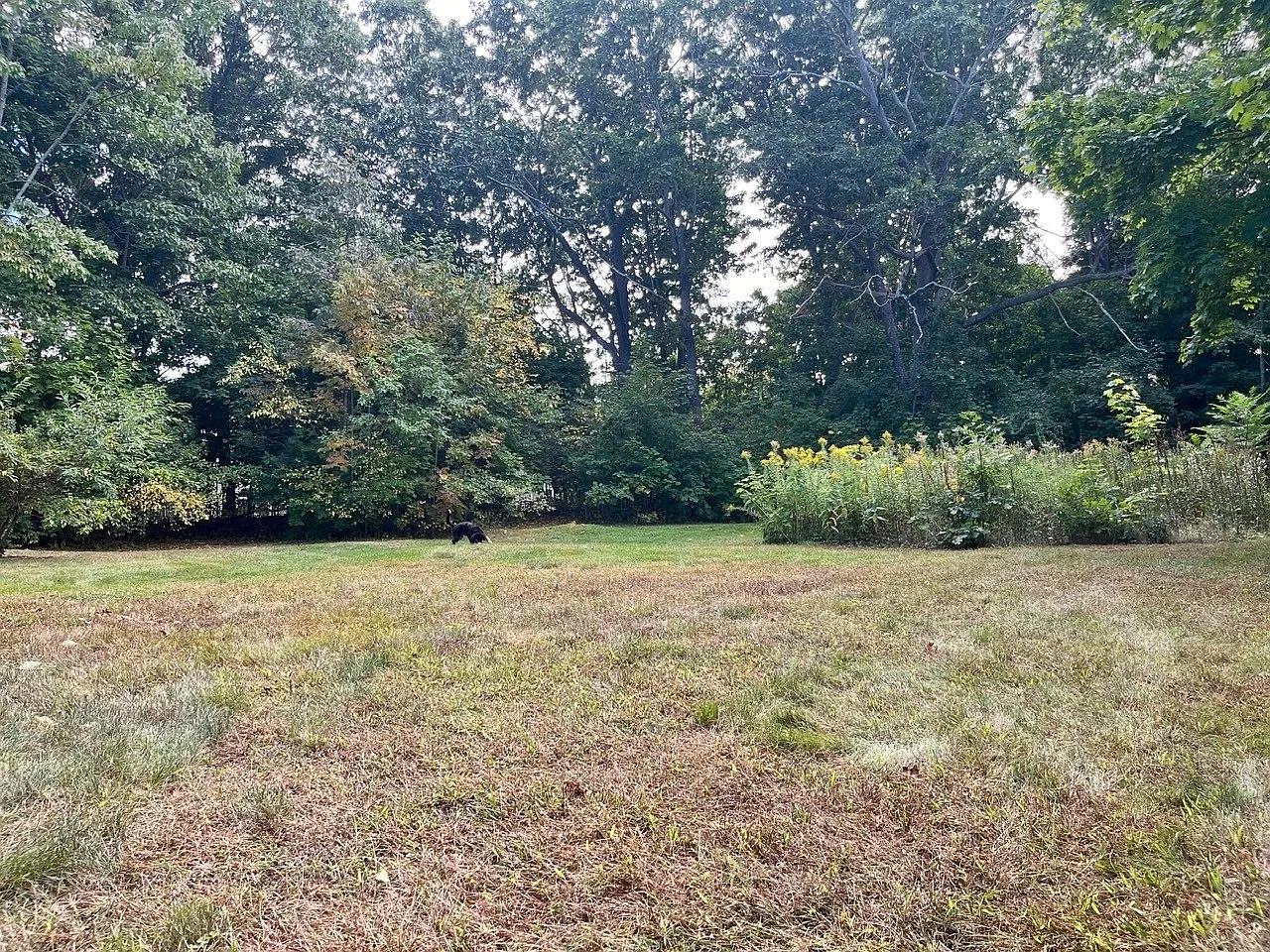 1 bed, $2,150 — Photo 3