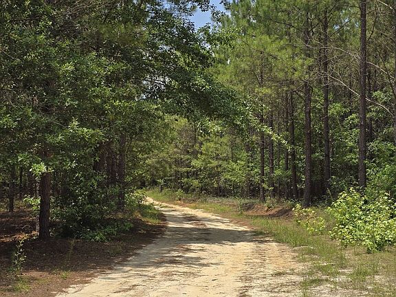 5th image of State Highway 56 N