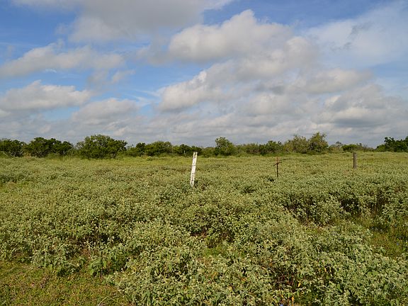 5th image of 0 Us Highway 281