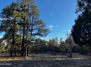 1271 Sunrise Pl #11, Happy Jack, AZ 86024