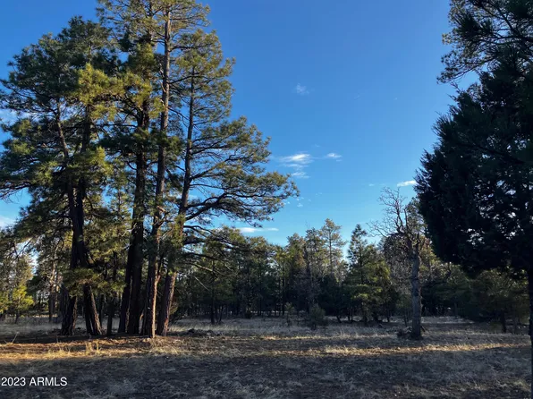 1271 Sunrise Place -- #11, Happy Jack, AZ 86024