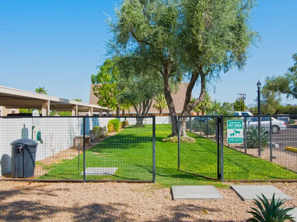 Winfield of Scottsdale