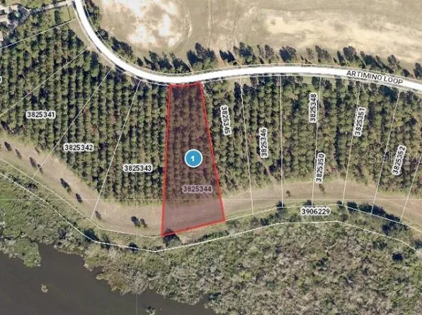 16736 Artimino Loop #25, Montverde, FL 34756