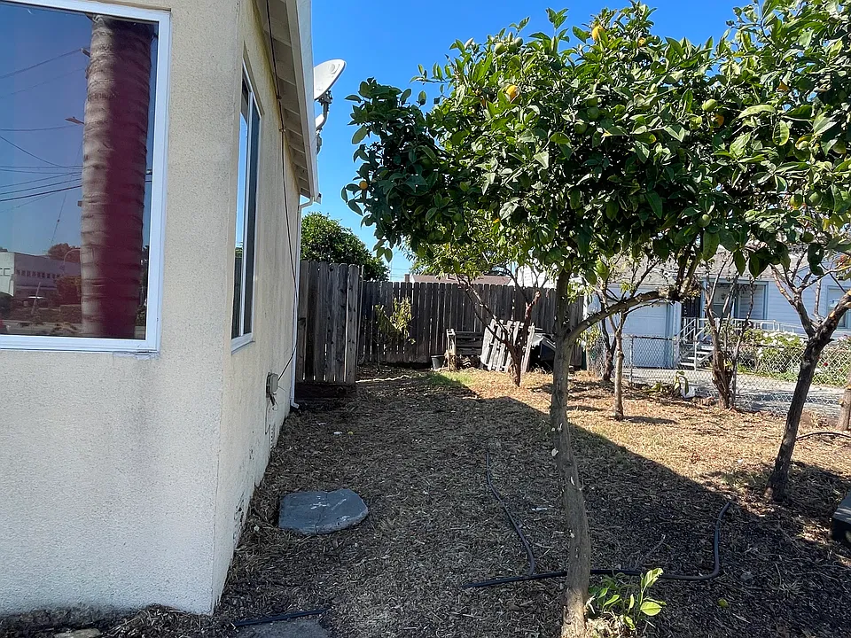 Side yard with mature fruit trees. So pretty