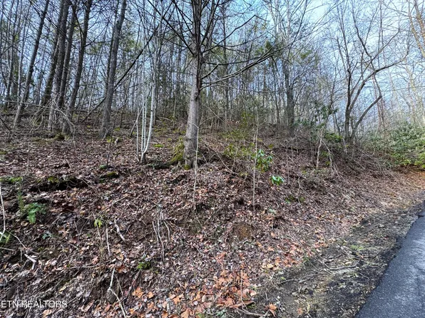 0 Black Gum Gap Rd Lot 10, Gatlinburg, TN 37738