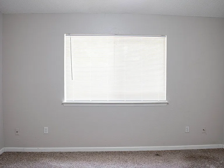 2306 Fuzz Fairway — Photo 16
