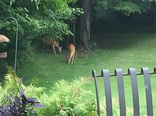 3733 E Snow Rd, Berrien Springs, MI 49103