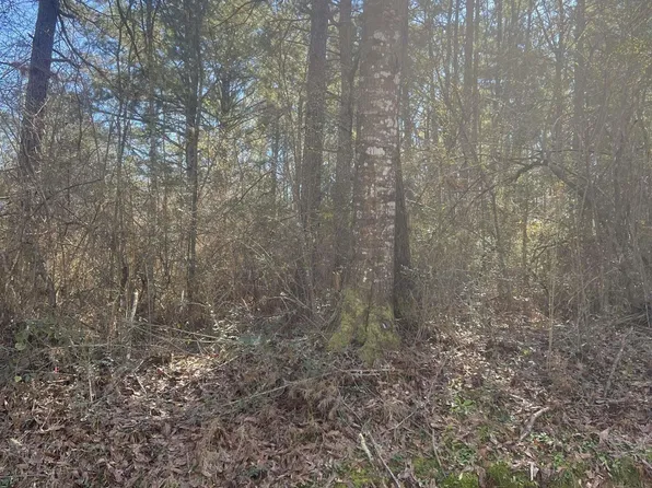 189 Welch Ln, Kentwood, LA 70444