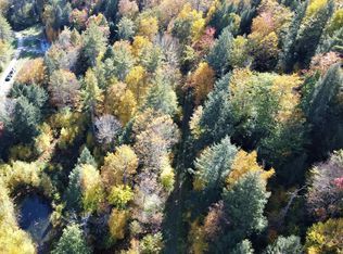 371 Dodge Rd #15.9, Chester, VT 05143