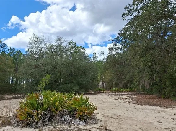 Fisher Way Lot 11, Ocklawaha, FL 32179