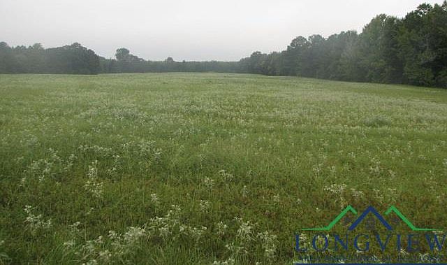 1st image of S Fm 225