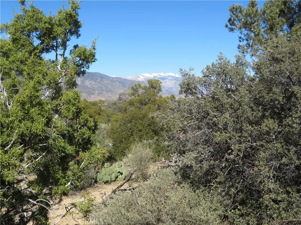 LOT 155 Buckthorn Rd, Mountain Center, CA 92561