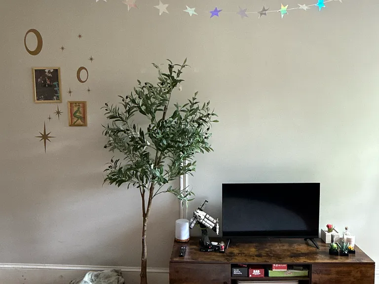 16 Keswick St #8B — Photo 3