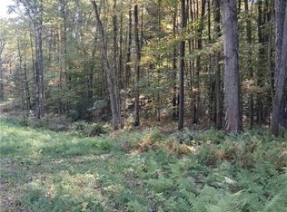 0 Stone Barn Rd #3, Cleveland, NY 13042