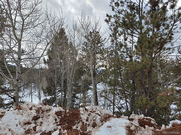 4th image of 61 Lost Park Cir