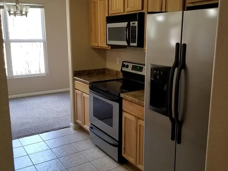 555 Cougar Bluff Point #101 — Photo 6