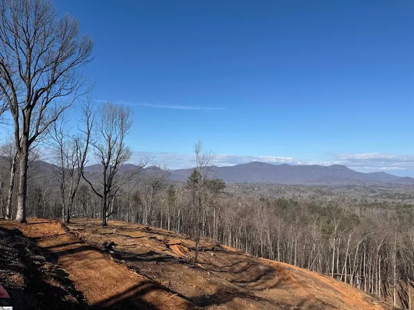 1007 Butter St, Landrum, SC 29356