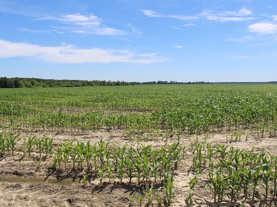 1st image of 250 County Road 637 Lot Wp001