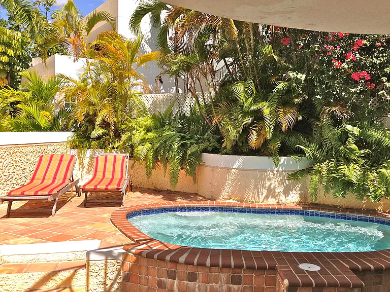 12 Calle Costa Del Sol — Photo 15
