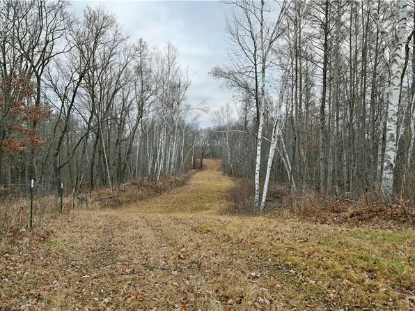 67 acres McLean Road, Bruce, WI 54819