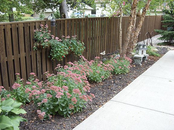 Back yard (privacy fence)
