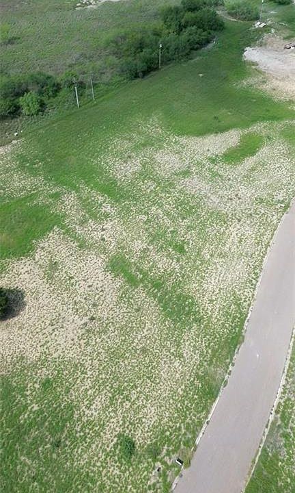 2nd image of Mimosa Cir