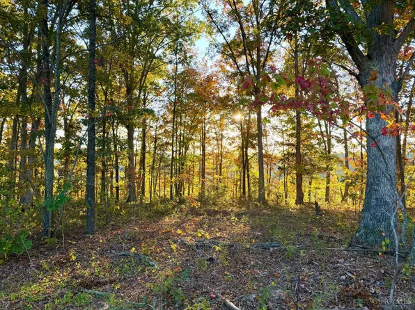 0 State Route 348, Otway, OH 45657