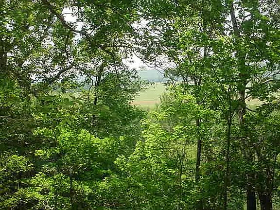 2nd image of 0 Whitaker Bend Dr Lot 8